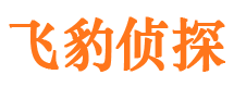 饶平飞豹私家侦探公司